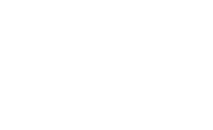 logo light